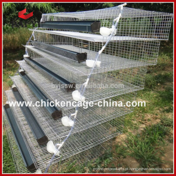 Quail Farming Cage Manufacturer